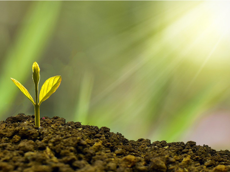 Erfolg, Wachstum, Motivation,Energie